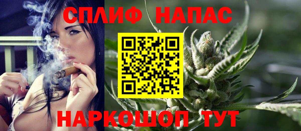 Конопля SATIVA & INDICA Тосно